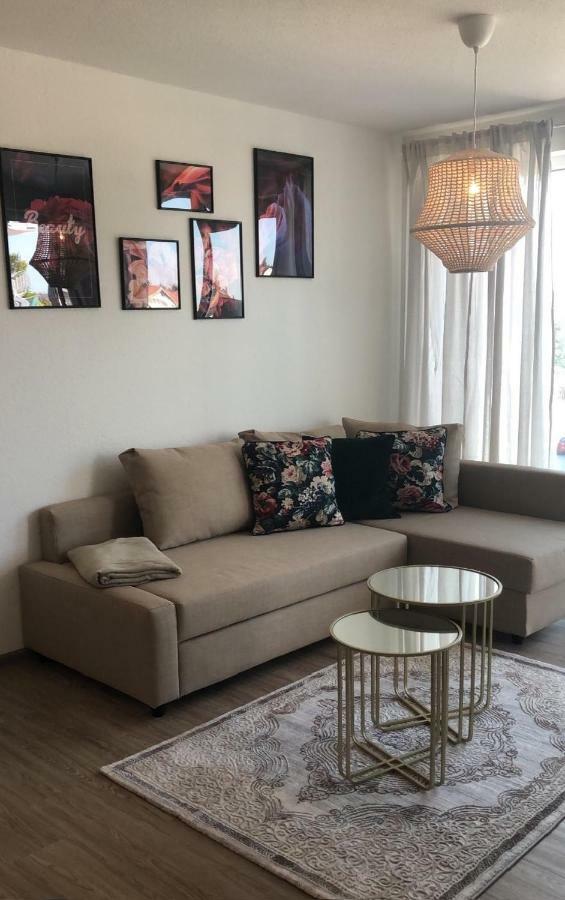 Ferienwohnung Rosengarten In 테트낭 외부 사진